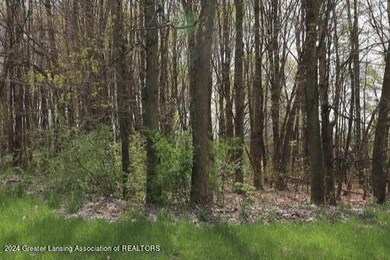 2655 Navigator Ln, Lansing, MI 48911 - photo 6