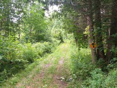 00 Garland Hill, Barnet, VT 05821 - photo 6