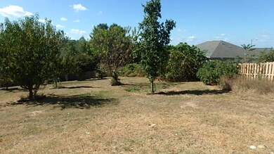 Backyard Fruit Trees-2