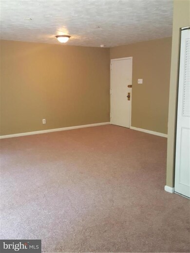 2311 Olson St unit 302, Temple Hills, MD 20748 - photo 3