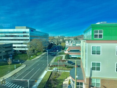 The Metropolitan unit 507, Stamford, CT 06905 - photo 7