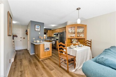 4086 Nettle Knob Rd, West Jefferson, NC 28694 - photo 7