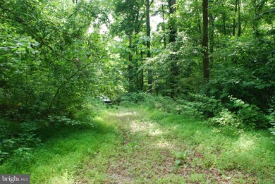 1998 Earl Sullivan Rd, Harwood, MD 20776 - photo 5