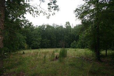 0 Baker Davis Rd unit 428510, Lincolnton, GA 30817 - photo 2