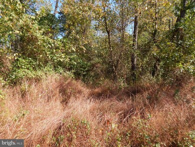 00 Douglass Dr, Douglassville, PA 19518 - photo 2