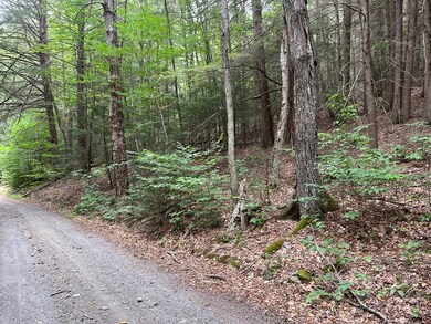 0 W Mountain Rd, Bernardston, MA 01337 - photo 5