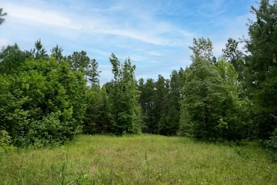 0 Camp Welfare Rd, Winnsboro, SC 29180 - photo 4