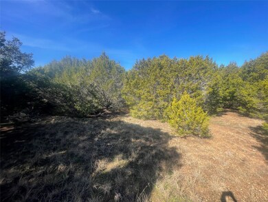 1042 White Bluff Dr, Whitney, TX 76692 - photo 7