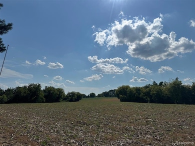 VL S Mill Rd, Dryden Township, MI 48428 - photo 5