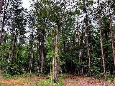 Wooded
