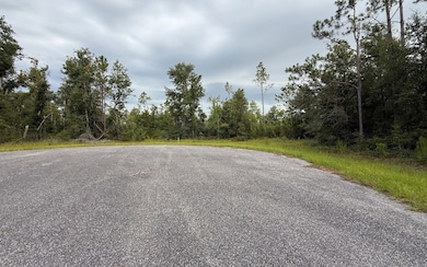 TBD 211th Ct, Live Oak, FL 32060 - photo 6