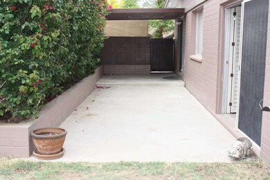 Backyard Patio