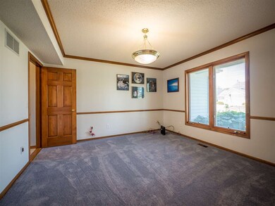 Den w/ New Carpet