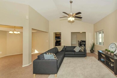 Living room New Carpet and Ceiling Fan