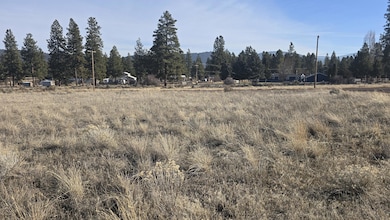 20241210_124835_resized