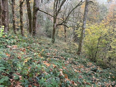 0 Maplewood Dr, Longview, WA 98632 - photo 4