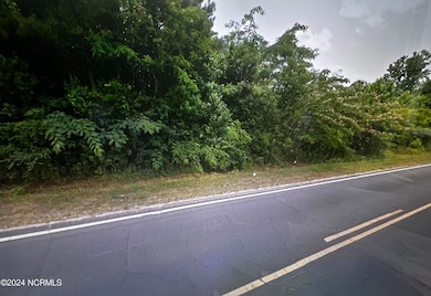 0 S Robeson Rd unit 100542098, Rowland, NC 28383 - photo 4