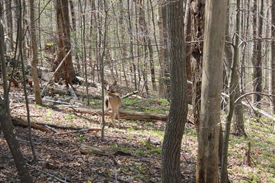 Enjoy Wildlife!
