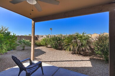 24042 N Brittlebush Way-38