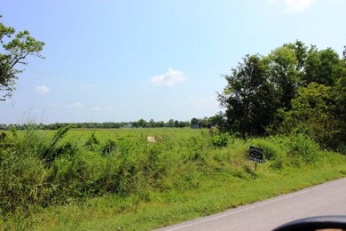 13ACRES County Road 168, Alvin, TX 77511 - photo 4