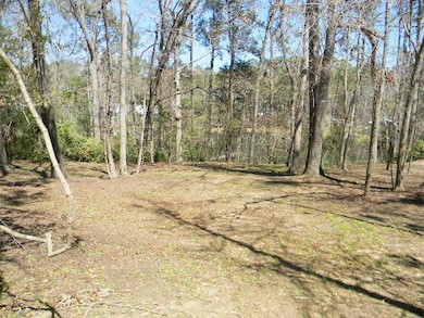 126 Pinckney Rd, Santee, SC 29142 - photo 5