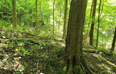 6850 N Range Rd, La Porte, IN 46350 - photo 3