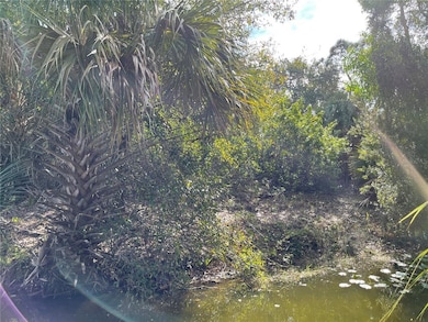 12152 Borax Ave, Punta Gorda, FL 33955 - photo 2