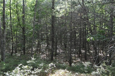 319 George Wright Rd, Woolwich, ME 04579 - photo 3