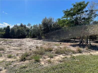 226 E Phoenix St, Lake Placid, FL 33852 - photo 2