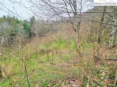 851 E Whenlin Ridge Rd, Lansing, NC 28643 - photo 6