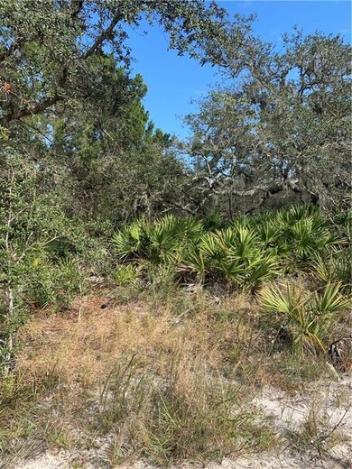 0 Brandywine Trail unit P4913691, Frostproof, FL 33843 - photo 5