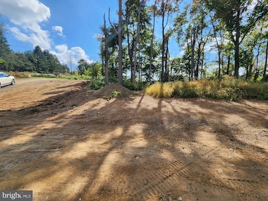 932 New Bloomfield Rd, Duncannon, PA 17020 - photo 5