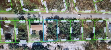 265 Moon Glow Ave, Lake Placid, FL 33852 - photo 2