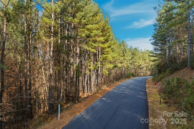 161 W Settings Blvd NW, Valdese, NC 28655 - photo 2