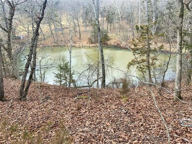 20242 Mount Olive Rd, Elkins, AR 72727 - photo 2