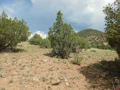 222 La Lomita Cir, South Fork, CO 81154 - photo 6