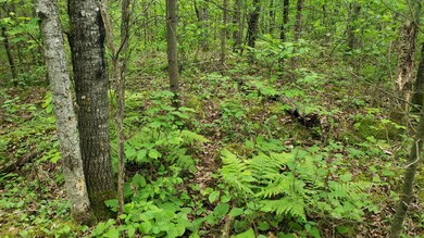 101 Swamp Lake Rd, Tomahawk, WI 54487 - photo 2