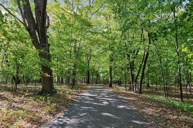 Enjoy your private, wooded entry to the property.