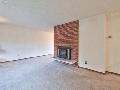 Fireplace Insert