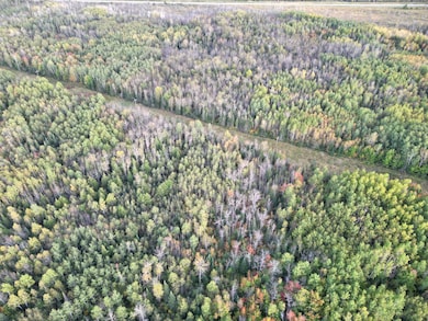 TBD U S Highway 71, Big Falls, MN 56658 - photo 4