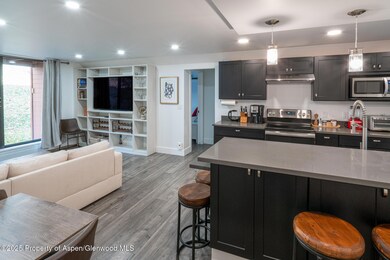 1316 Vine St unit 1316, Aspen, CO 81611 - photo 5
