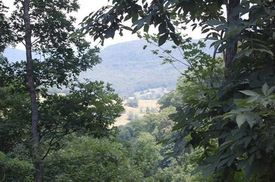 0 Brannan Mountain unit 1029397, Elkins, AR 72727 - photo 3