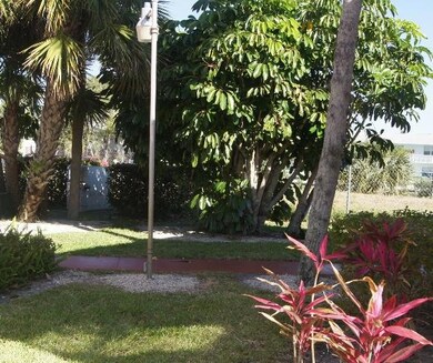 DSC07881
