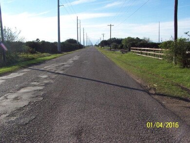 0 Mile 12 1 2 Rd N, Donna, TX 78537 - photo 4