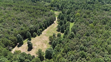 1476 Major Hill Rd, Bethel Springs, TN 38315 - photo 2