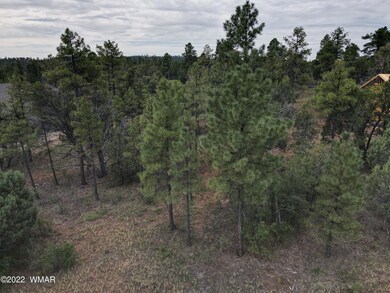 dji_fly_20220909_093532_1_1662741340742_