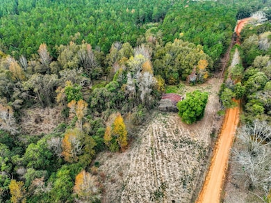 7 Lot E County Road 682, Coffee Springs, AL 36318 - photo 5