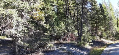 747 Spring Hill Rd, Kila, MT 59920 - photo 6