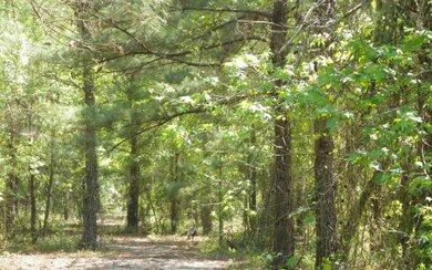 0 Cypresswood Glen unit 80693, Fort White, FL 32038 - photo 2