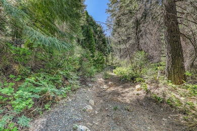 No Address Texas Hill Rd, Emigrant Gap, CA 95715 - photo 5